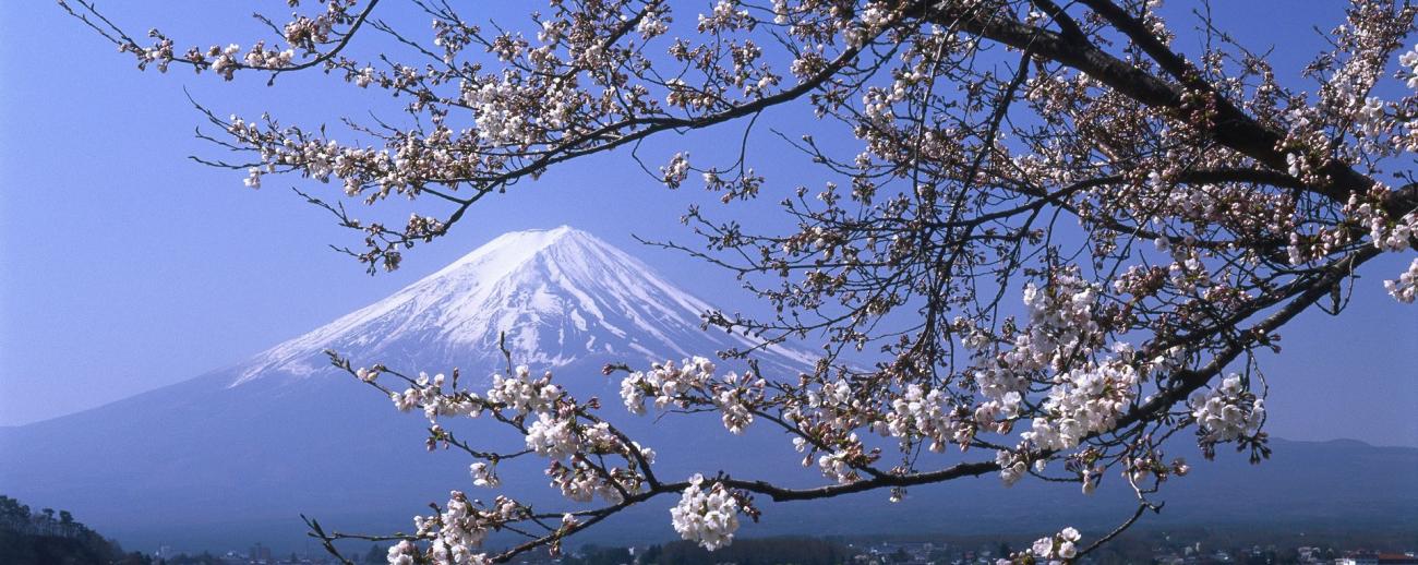 新婚旅拍(pāi)(圖4)